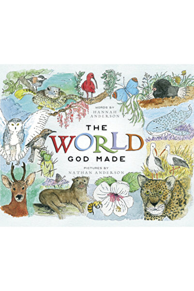 B&H Pub Group În lumea creată de Dumnezeu