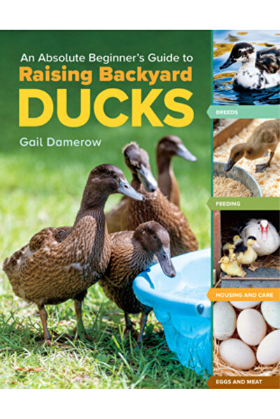 Storey Pub Ghid absolut pentru începători despre creșterea rațelor de curte: ...