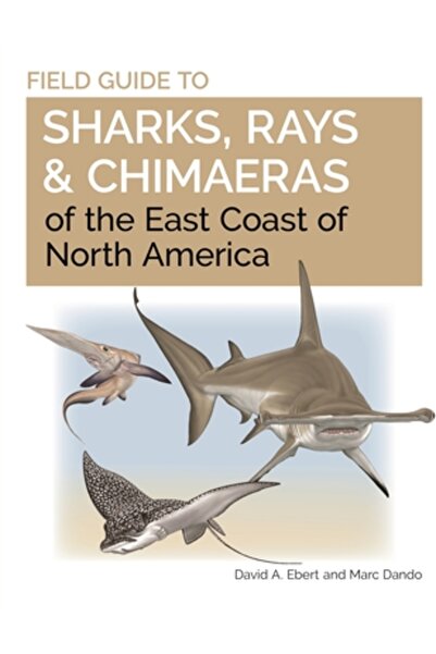 Princeton Univ Pr Ghid de teren pentru rechini, pisici de mare și himere de p...