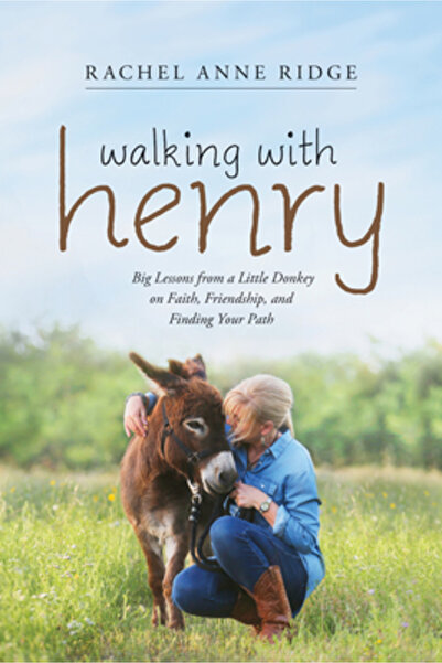 Tyndale Momentum Walking with Henry: Big Lessons from a Little Donkey on Fait...