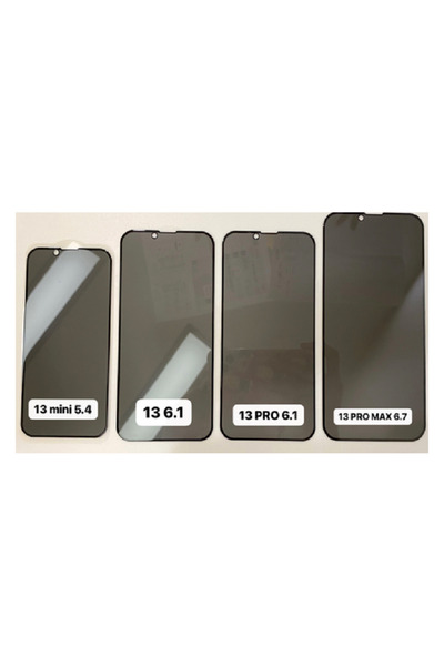 OEM Privacy Protection Film Apple iPhone 11