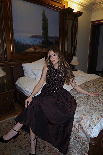 Laluvia Brown Skirt Taffeta Sequined Dress - 101032