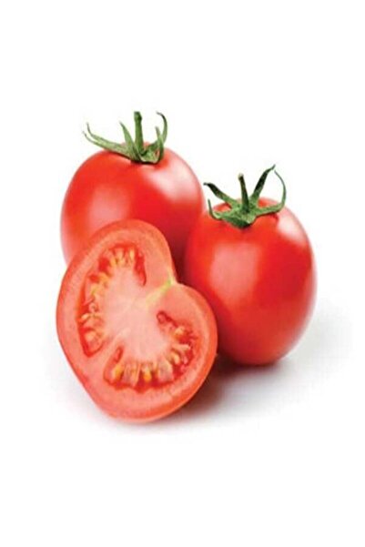Genel Markalar Domates