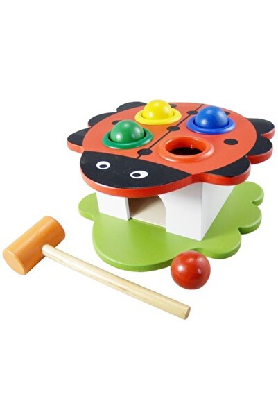 Dalip Baby Jucărie educativă Montessori din lemn, buburuză cu ciocan și 4 bil...