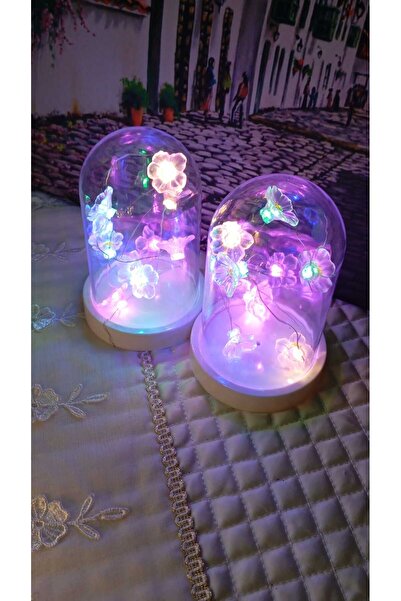 SAGA DEKORASYON & HEDİYELİK Led Işıklı Fanus