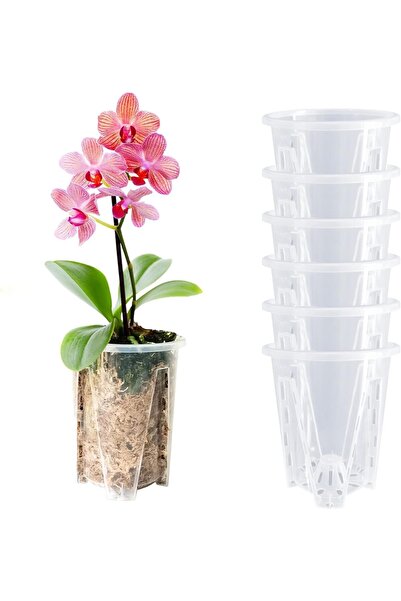Generic Bolivia Orchid Pots Set of 6