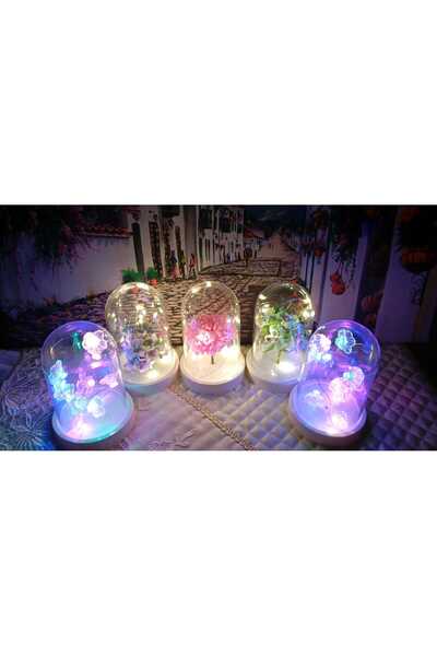 SAGA DEKORASYON & HEDİYELİK Led Işıklı Fanus (cipso çiçekli)