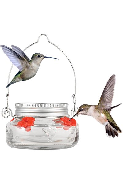 Nature's Way Hummingbird Feeder MJF1 by Nature's Way, Transparent
