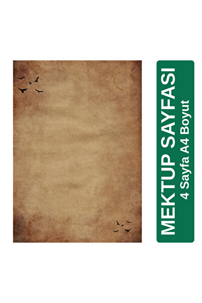 Organik Yolda Martı Detaylı Mektup Kağıdı (4 Sayfa A4 Boyut)