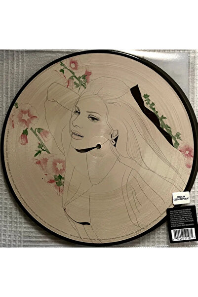 Interscope Records Lana Del Rey Did You know that there's a tunnel under Ocea...