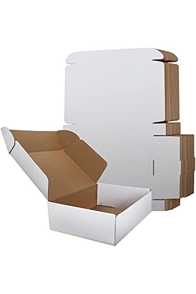 RLAVBL Small Shipping Boxes 12x9x3 Inch White Corrugated Cardboard Mailing Bo...
