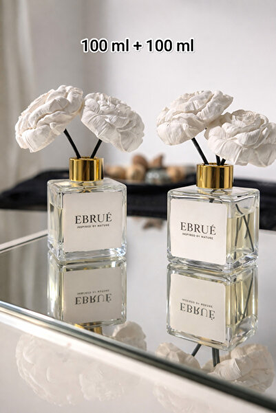 EBRUE 2 Adet Vanilya aromalı seramik taşlı 100 ml çubuklu oda kokusu