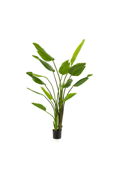 homez نبات ستريليتسيا نيكولاي الاصطناعي في وعاء، أخضر، 140*140*180سم