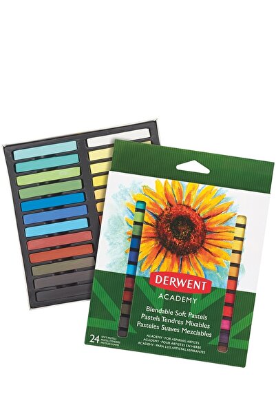 Derwent Set of 24 soft pastel pencils, high quality, for aspiring artists Aca...