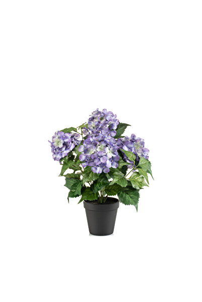 homez شجيرة هيدرانجيا صناعية داخلية في أصيص، بنفسجي، 40 سم