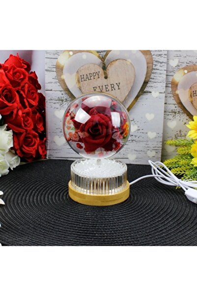QUEENELA Sevgililer Gününe Özel Otomatik Dönen Kırmızı Çiçekli ve Fotoğraflı ...