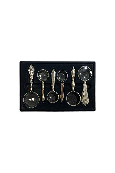VERA SANAT Silver Colored Embroidered Handle 6-Piece Hand Magnifier Set (32-4...