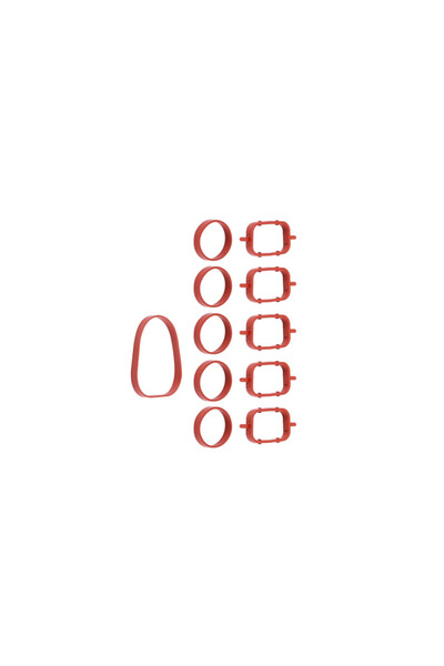 BMW Set Garnituri Galerie Admisie pentru M57