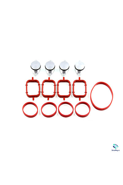 BMW Kit Dopuri Anulare Clapete Galerie Admisie 22 mm cod motor M47