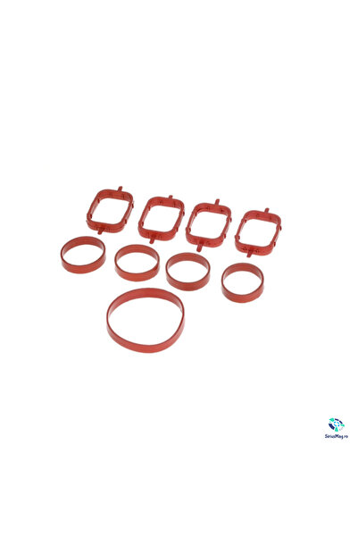 BMW Intake Manifold Gasket Set for M47