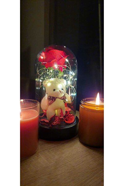 DAFNE Fanus İçinde Işıklı Ayıcık ve Kırmızı Gül – Dekoratif Romantik Hediye