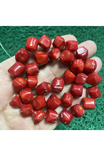 TAŞ UZMANI حجر المرجان الطبيعي غير المُشكل 10 مم