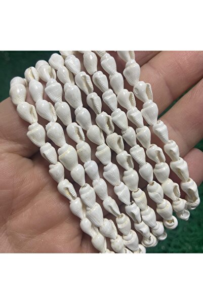 TAŞ UZMANI صدفة بحرية بيضاء 5 مم