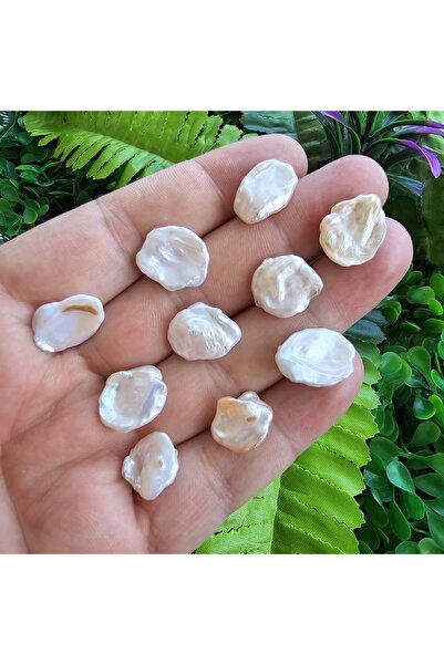 TAŞ UZMANI لؤلؤ طبيعي على شكل ورقة 14 مم