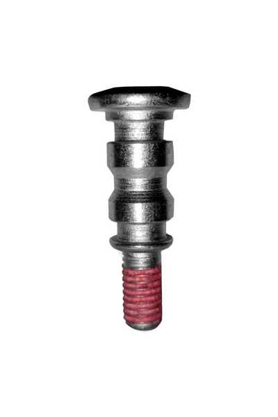 Bajaj Pulsar NS 200 Vites Pedal Vidası JL561409