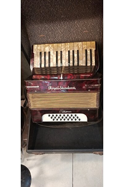 EVVEL ZAMAN ANTİK ANTİKA KAPLI AKARDİON