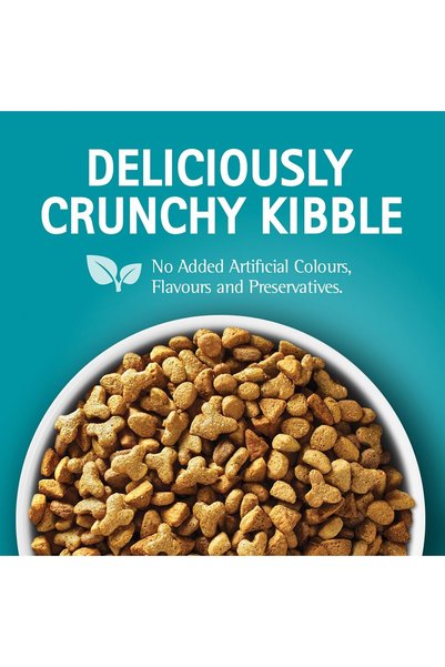 Purina One طعام للقطط للتحكم في كرات الشعر مع قطع الدجاج، للقطط من عمر سنة فما فوق، 1.2 كجم، للبالغين