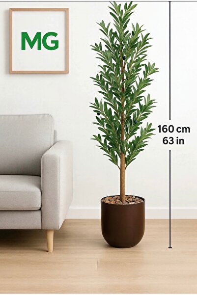 CENTRHOME An olive tree 160 cm tall