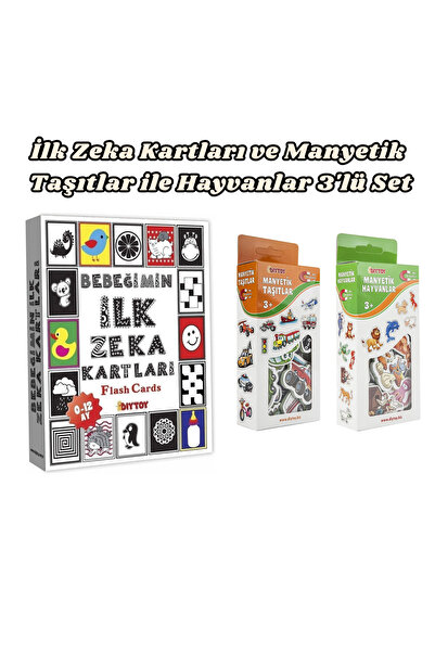Diytoy İlk Zeka Kartları ile Manyetik Taşıtlar ve Hayvanlar 3'lü Set