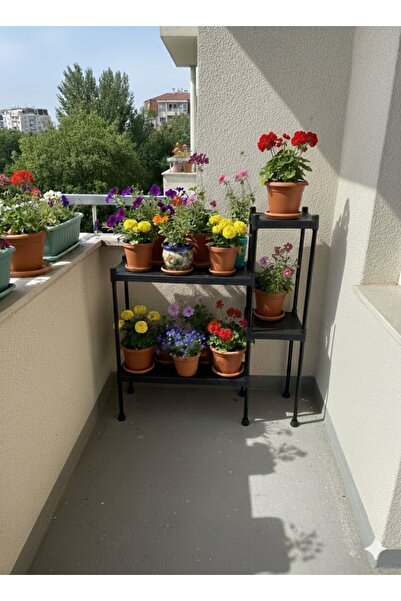 Lider Tunç TUNİVA LİORA Çok Amaçlı 4 Bölmeli Dekoratif Çiçeklik Ve Modern Sak...