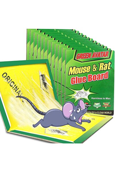 Generic عبوة من 12 مصيدة فئران لاصقة كبيرة من إيزون مع قوة التصاق محسّنة