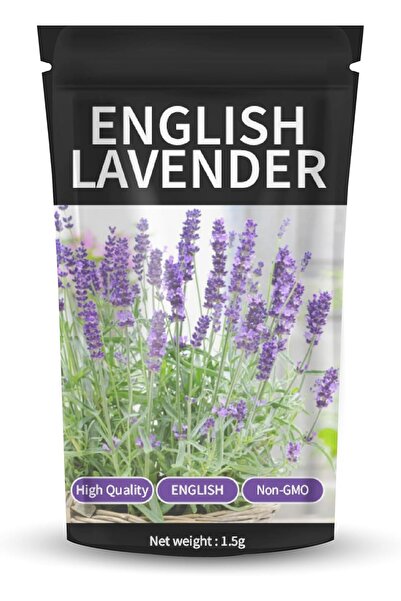 Generic English Lavender Seeds for Planting