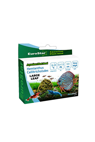 EuroStar STOROZAL Bitki Tohum Large Leaf (00553) Base Plant