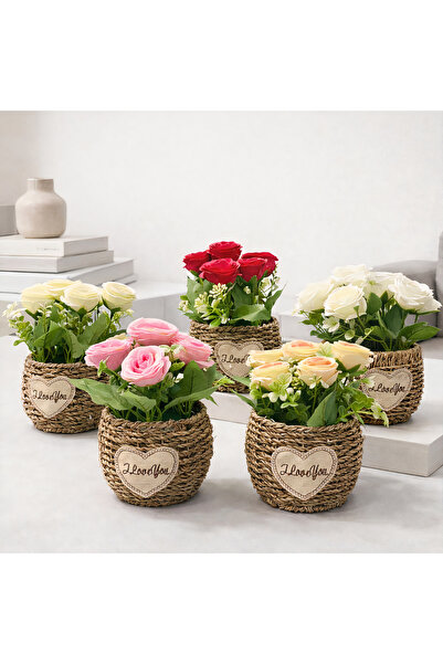 Issa 1 Artificial Flowers 22cm, Rose Model in Wicker Pot, Different Colors