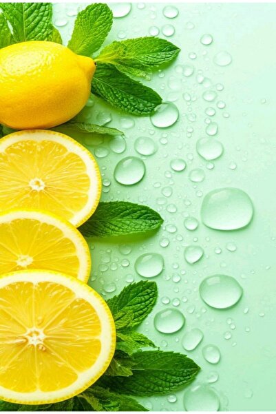 KEMAL ABİ مفارش طاولة أمريكية وسجادة مائدة من البي في سي قابلة للمسح 4 قطع