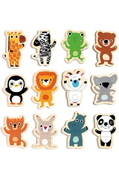 djeco لعبة كوكو الخشبية المغناطيسية من