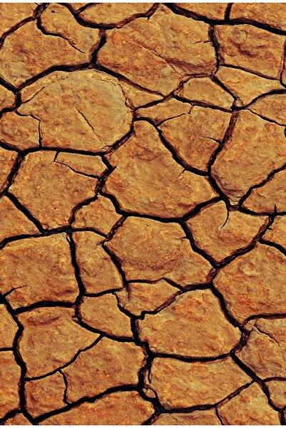 KEMAL ABİ مفارش طاولة أمريكية وسجادة مائدة من البي في سي قابلة للمسح 4 قطع