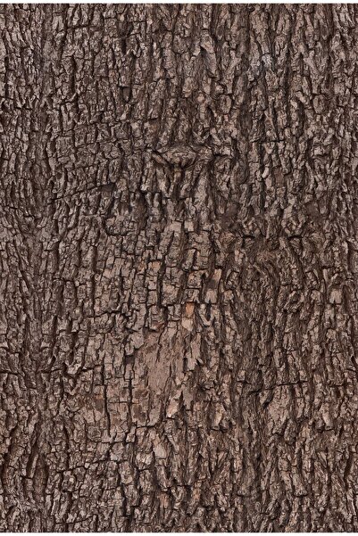 KEMAL ABİ مفارش طاولة أمريكية وسجادة مائدة من البي في سي قابلة للمسح 4 قطع