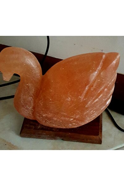 Emily Collection Himalaya Ördek Figürlü Doğal Tuz Lambası 3-4 kğ