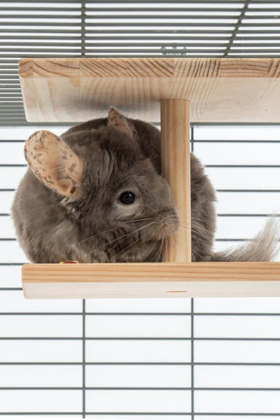 Alyones Çift Yüzlü Ahşap Platform – Çam 24.8 cm Genişlikli “Double-Sided Chin...