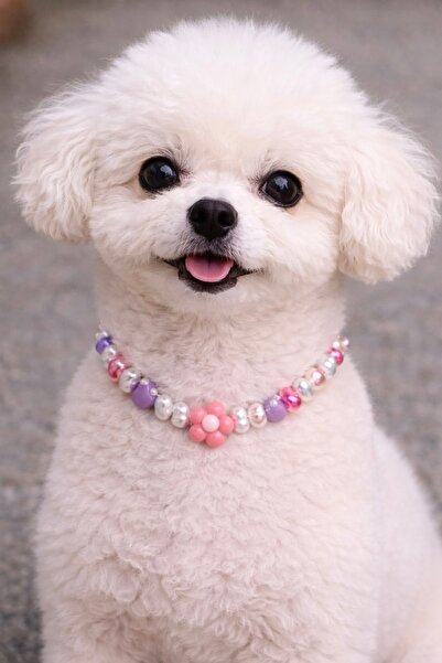 Femenino Customizable Adjustable Dog Necklace