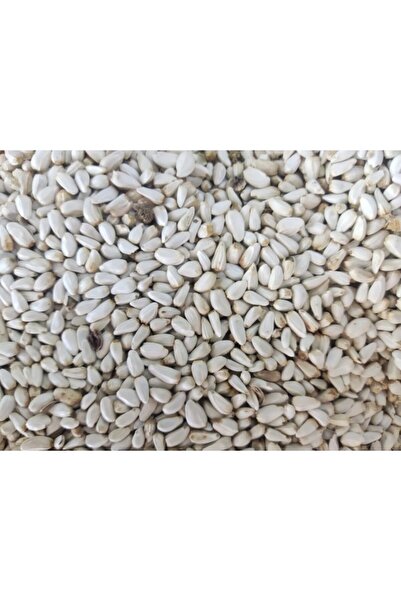 Golden cat Premium Safflower Seeds (Cardi/Cardisaat) Bird Food (10Kg)