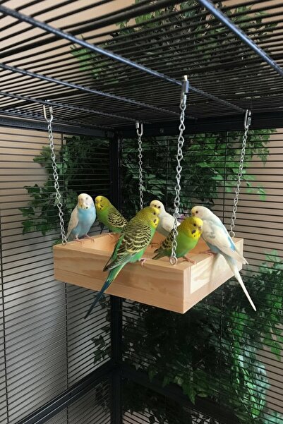 Alyones Çam Ahşap Chinchilla Salıncağı – 22,9 cm × 22,9 cm × 5,7 cm, Metal Zi...
