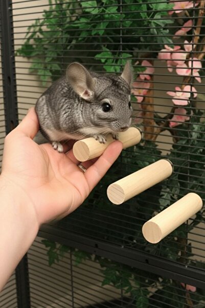 Alyones 4’lü Ahşap Perçin Seti – Küçük Evcil Hayvanlar İçin Montaj Aparatlı T...