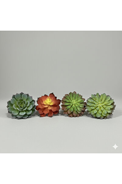 yapayyeşil 4'LÜ SUKULENT SET