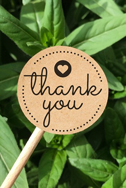 Dekorden Kraft Sticker, 48 Thank You Tags